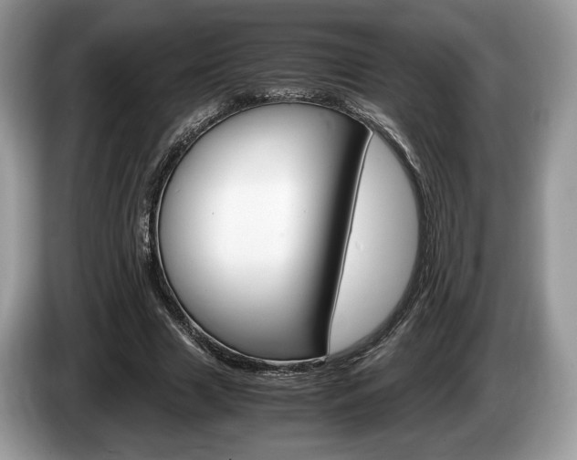 X0000087600633200704271044