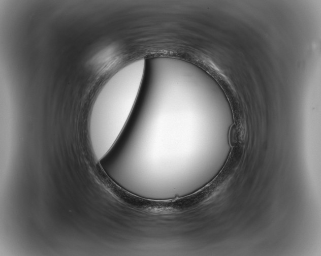 X0000087600637200704271044