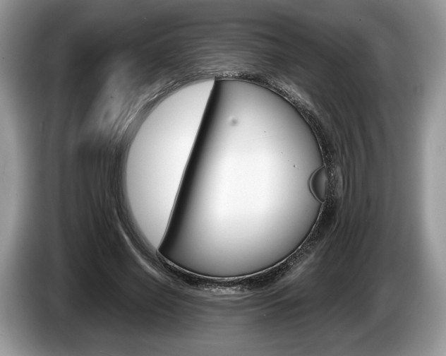 X0000087600638200704271044