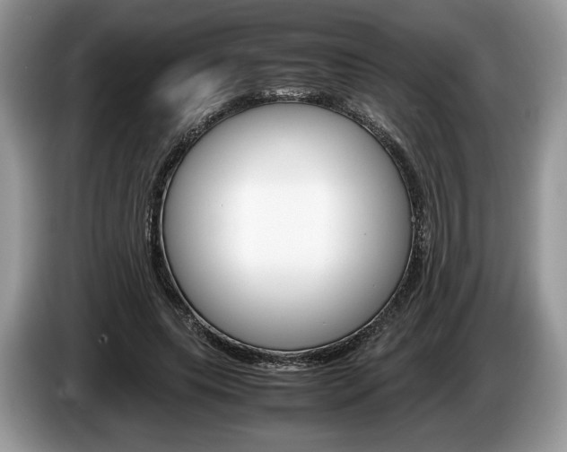 X0000087600639200704271044