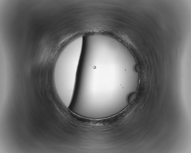 X0000087600640200704271044