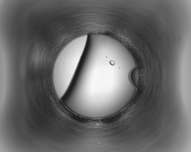 X0000087600642200704271044