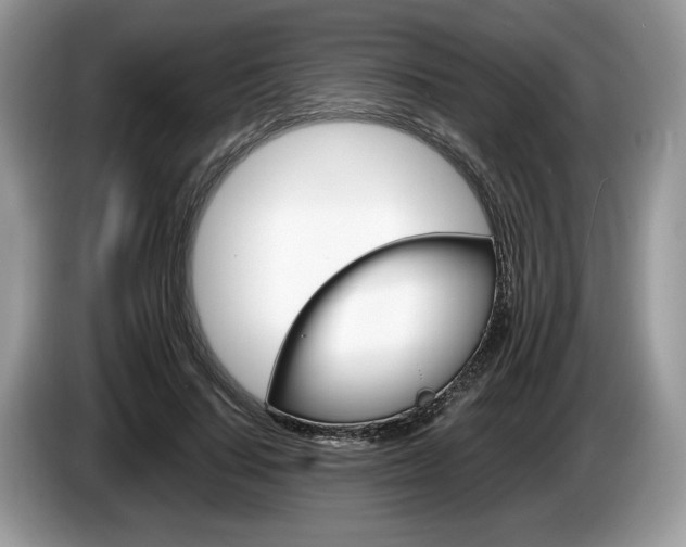 X0000087600644200704271044