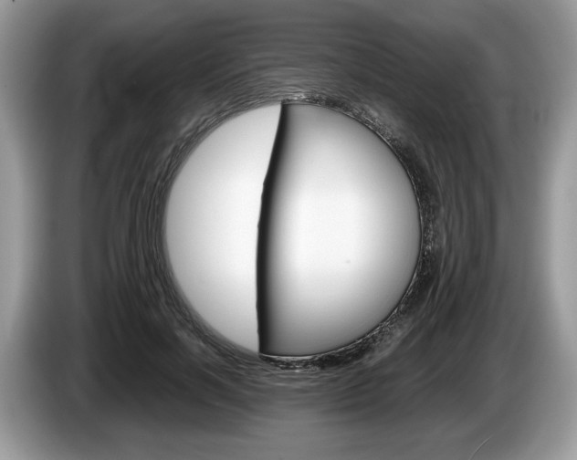X0000087600646200704271044
