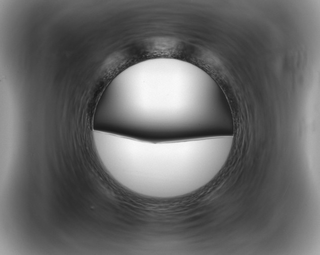 X0000087600647200704271044