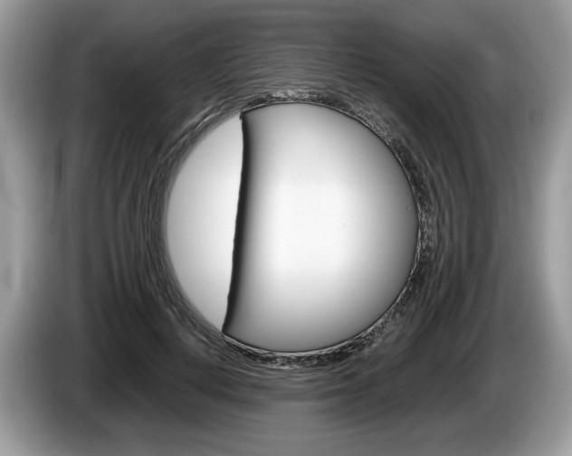 X0000087600648200704271044