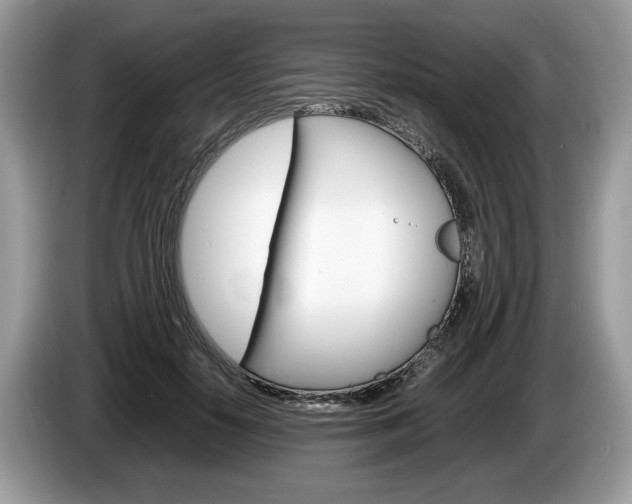 X0000087600650200704271044