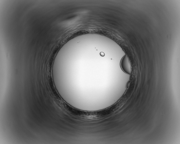 X0000087600651200704271044