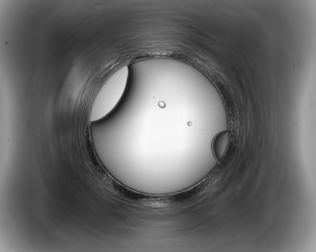 X0000087600652200704271044