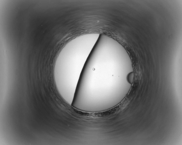 X0000087600656200704271044