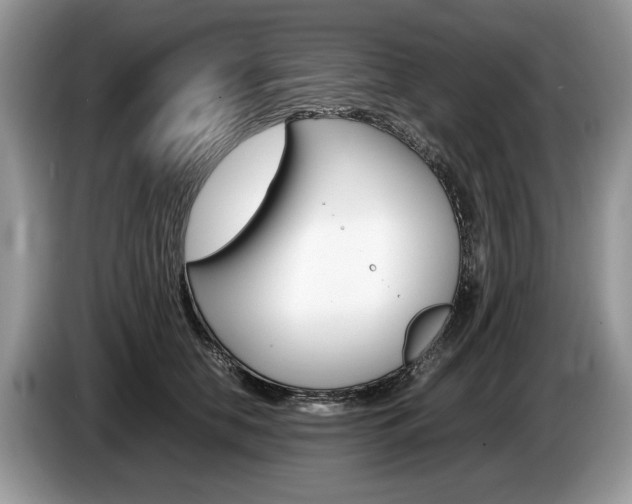 X0000087600658200704271044