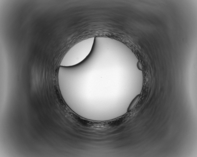 X0000087600659200704271044