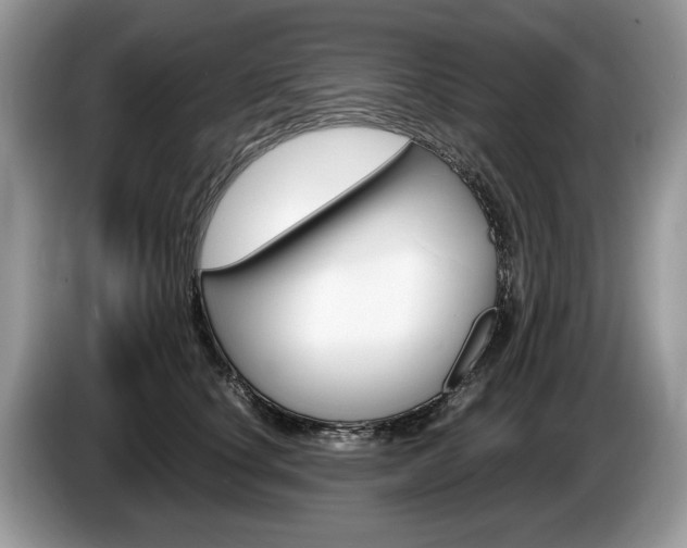 X0000087600660200704271044