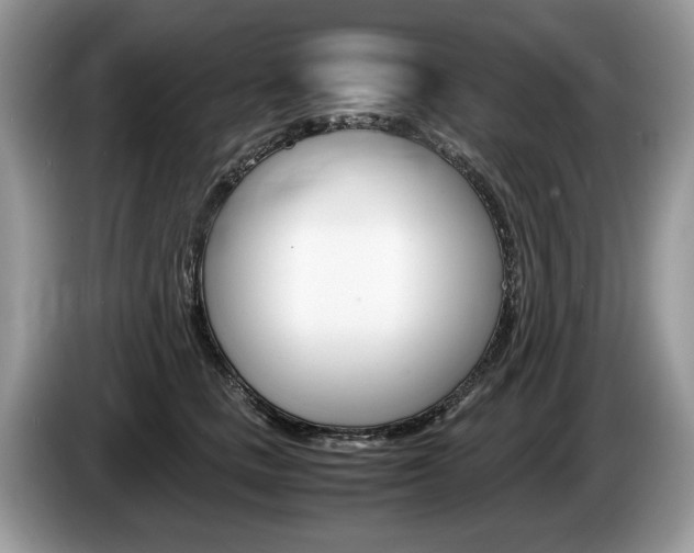 X0000087600661200704271044