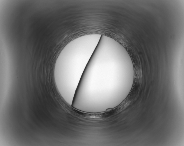 X0000087600662200704271044