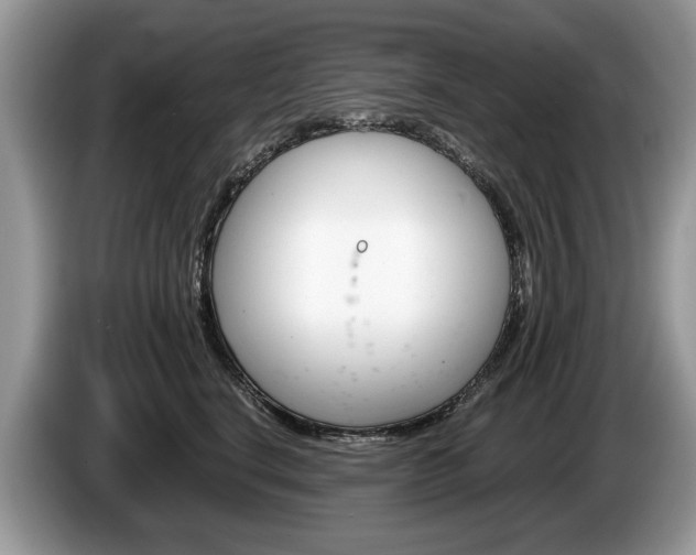 X0000087600664200704271044