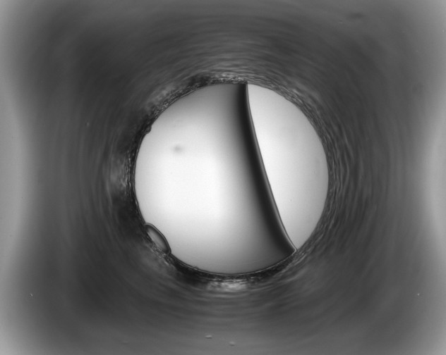 X0000087600665200704271044