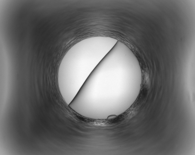X0000087600668200704271044