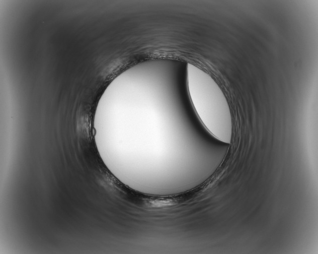 X0000087600669200704271044