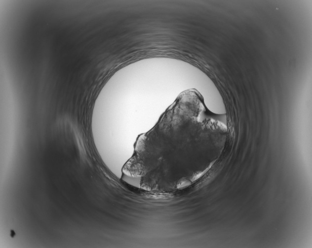 X0000087600670200704271044