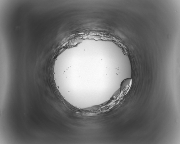X0000087600672200704271044