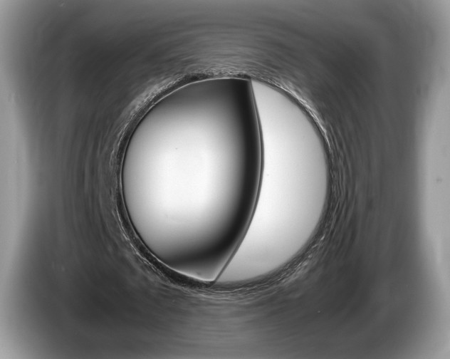 X0000087600673200704271043