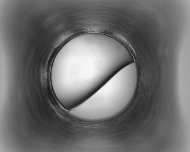 X0000087600674200704271043