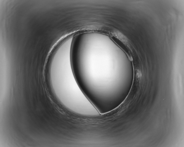 X0000087600676200704271043