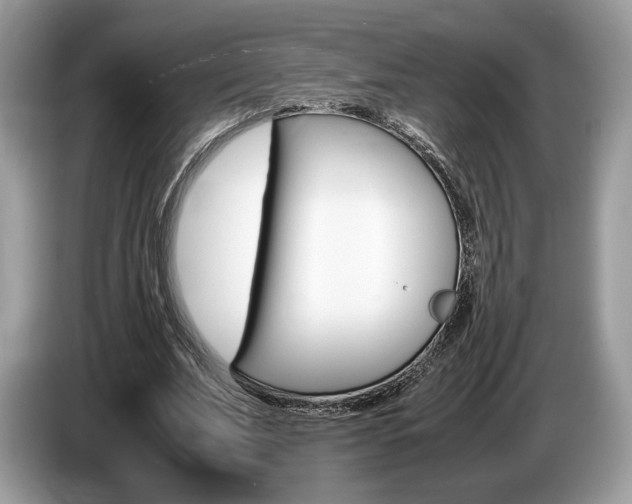 X0000087600679200704271043