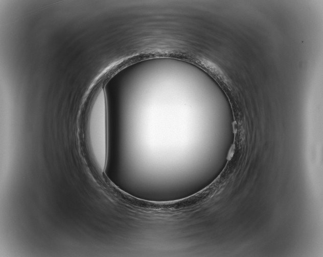 X0000087600680200704271043