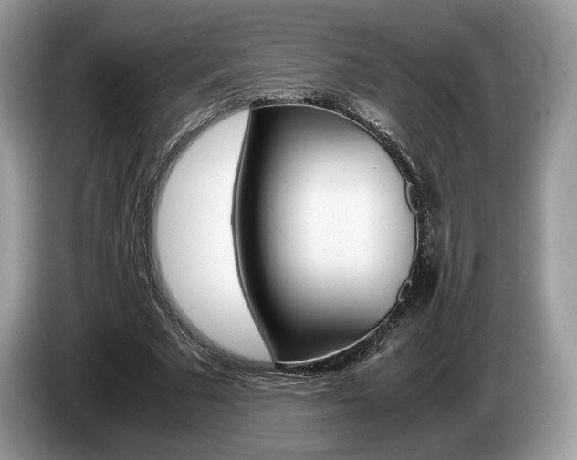 X0000087600681200704271043