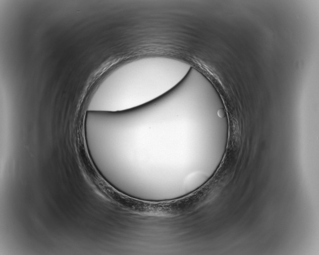 X0000087600682200704271043