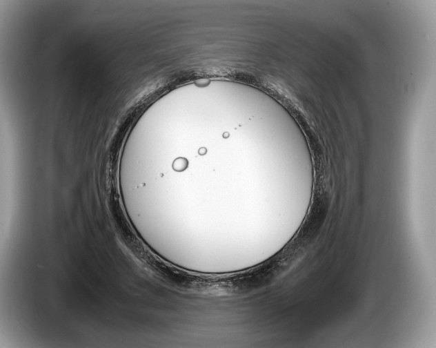 X0000087600683200704271043