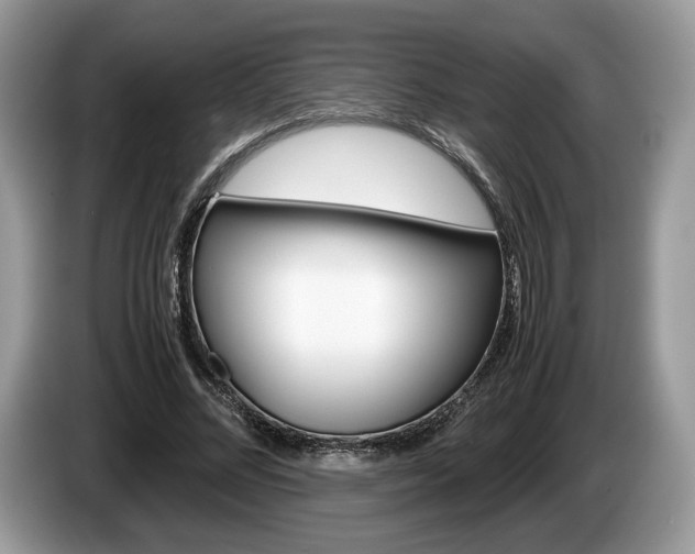 X0000087600684200704271043
