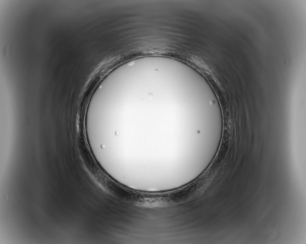 X0000087600686200704271043