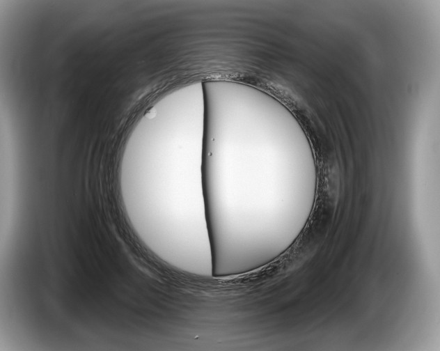 X0000087600690200704271043