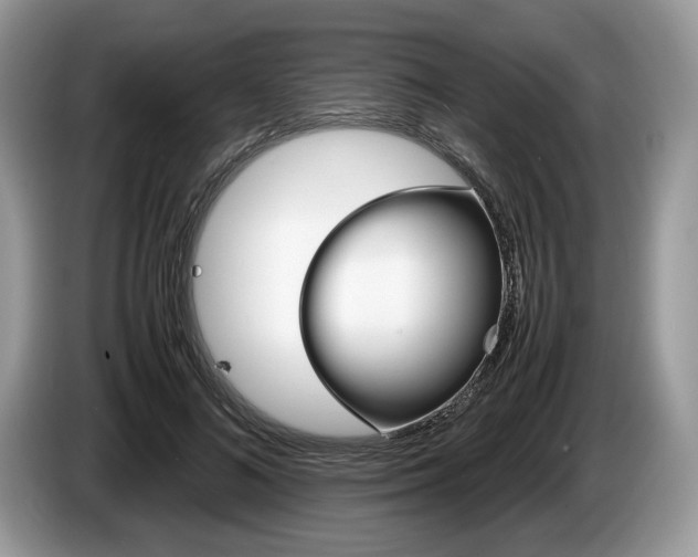 X0000087600692200704271043