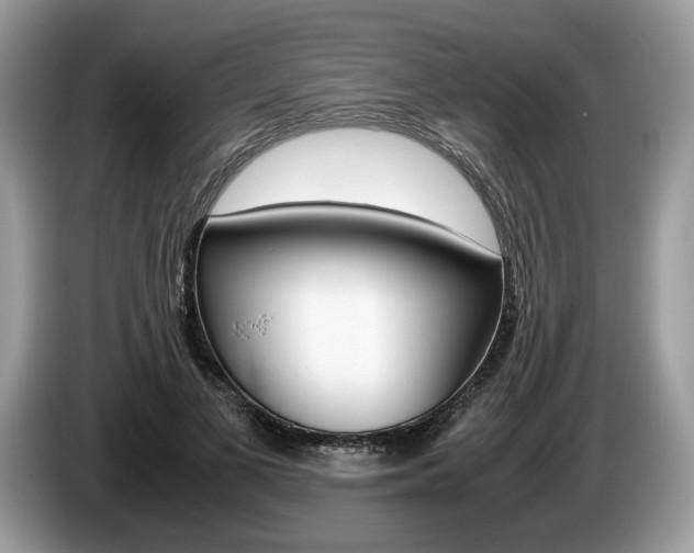 X0000087600693200704271043