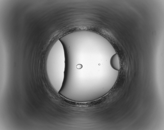 X0000087600694200704271043
