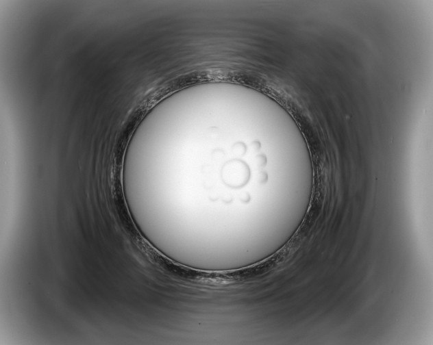 X0000087600698200704271043