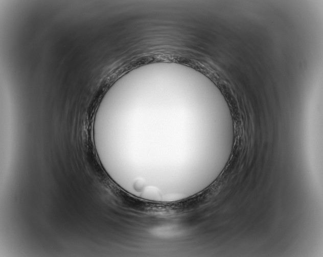 X0000087600702200704271043