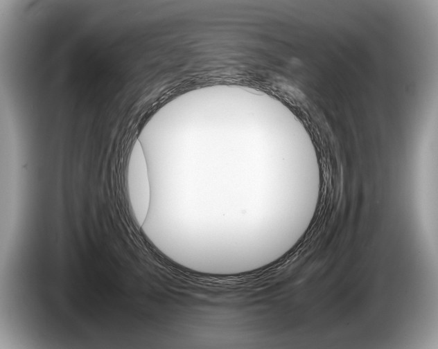 X0000087600705200704271043