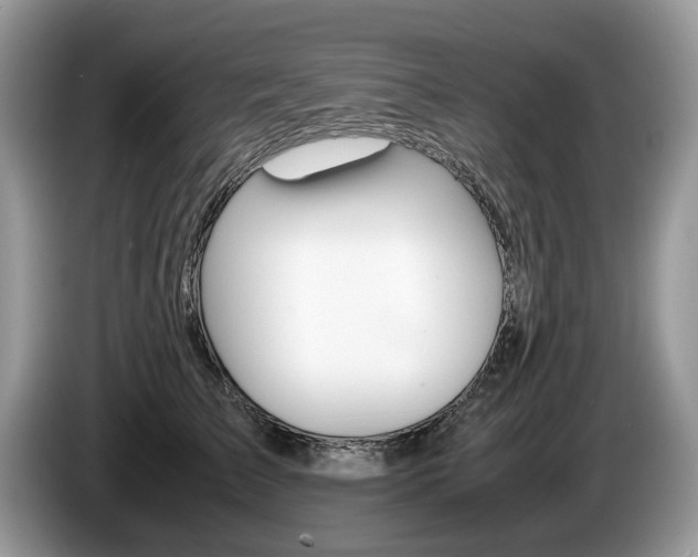 X0000087600709200704271043