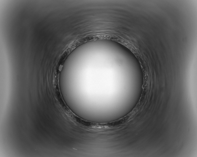 X0000087600712200704271043