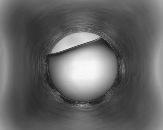 X0000087600716200704271043