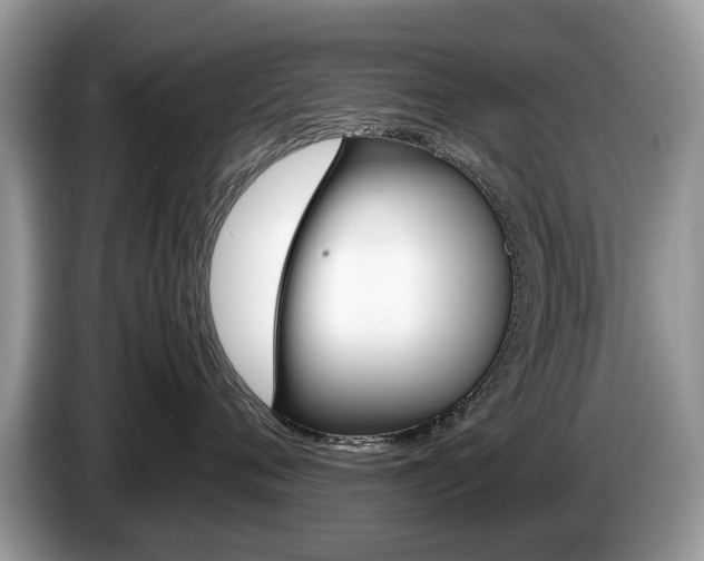 X0000087600720200704271043