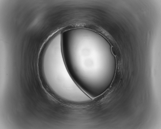 X0000087600722200704271042