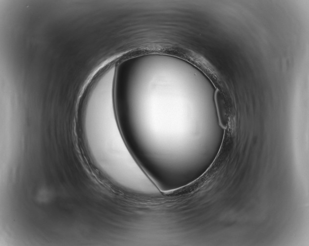 X0000087600724200704271042