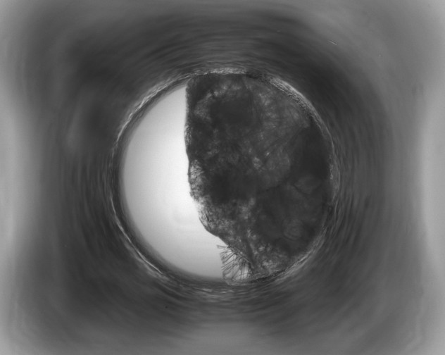 X0000087600725200704271042