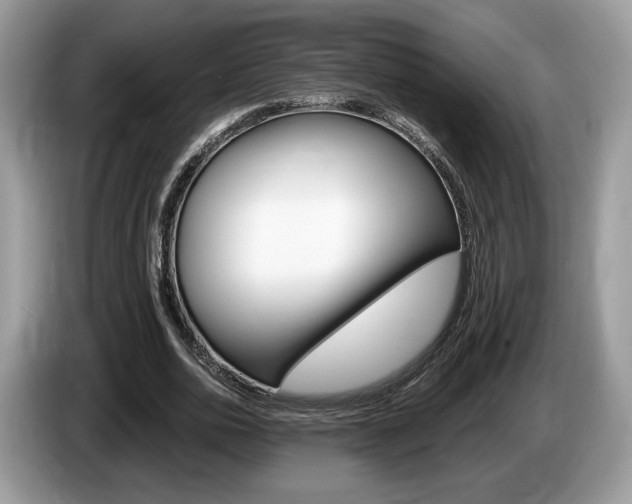 X0000087600726200704271042